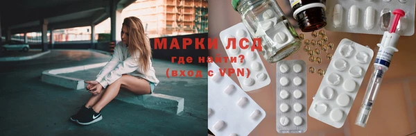 прущие грибы Гусь-Хрустальный