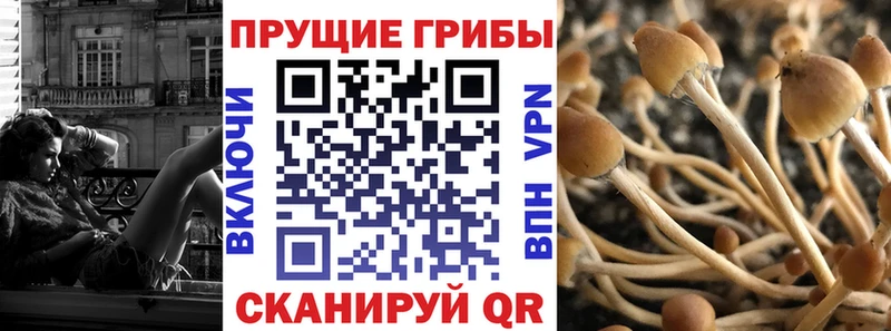 Псилоцибиновые грибы Magic Shrooms Печоры