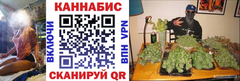 Шишки марихуана THC 21%  Купить  Печоры 